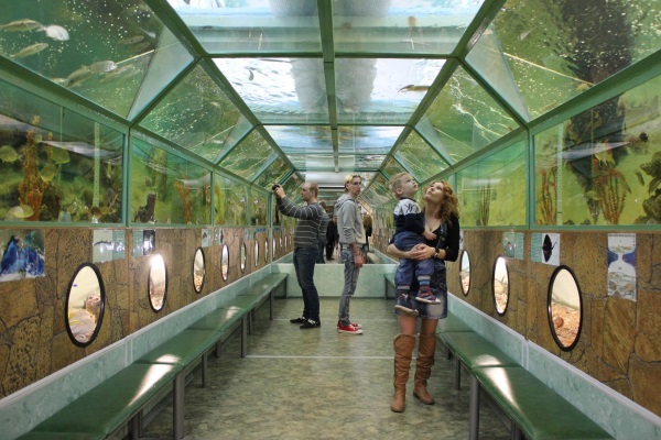 akvarium batiskaf
